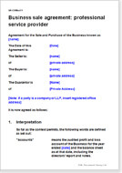First page of the professional services business sale agreement