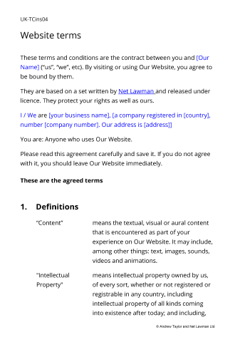 Sample page from the simple information website terms