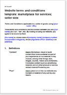 First page of the website T&C for a marketplace for services