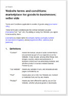 First page of the terms for a website B2B marketplace for goods